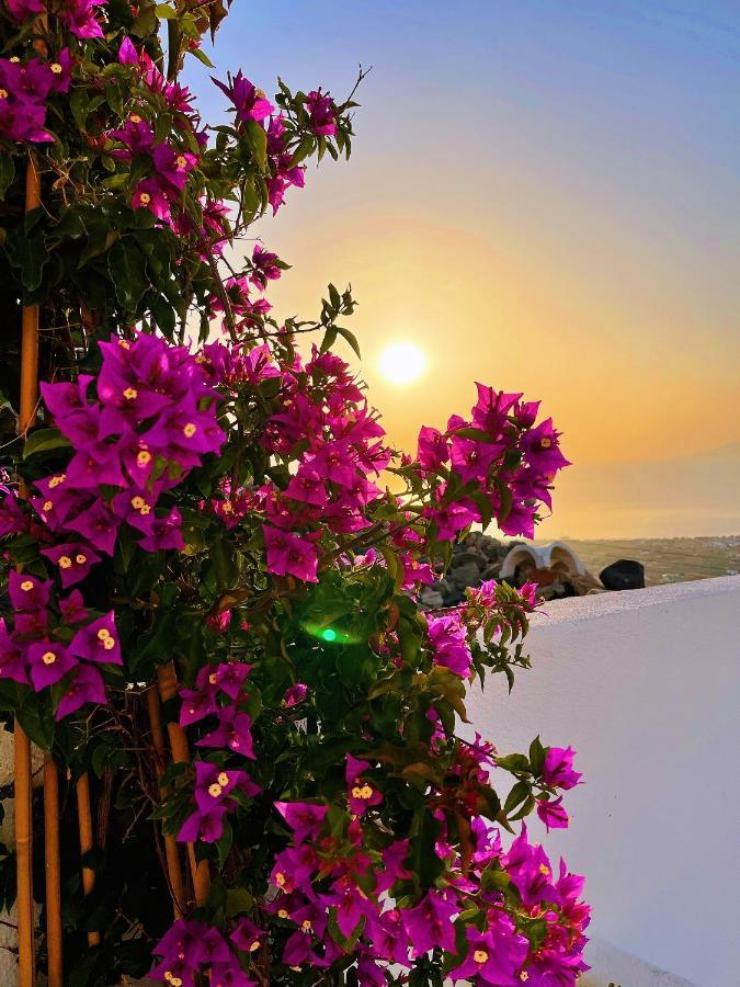 Villa Kastelli88 Santorini Pyrgos エクステリア 写真
