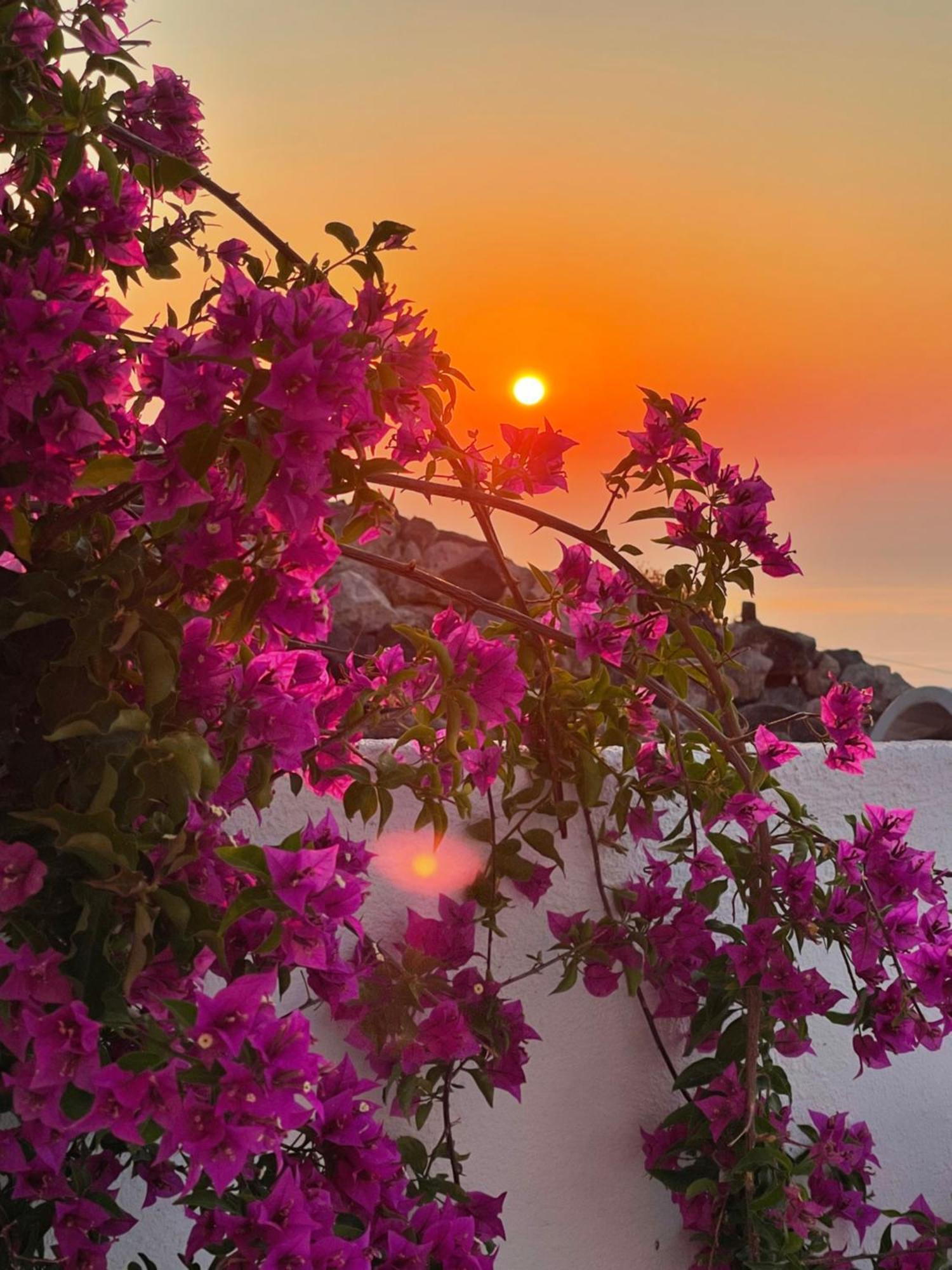 Villa Kastelli88 Santorini Pyrgos エクステリア 写真